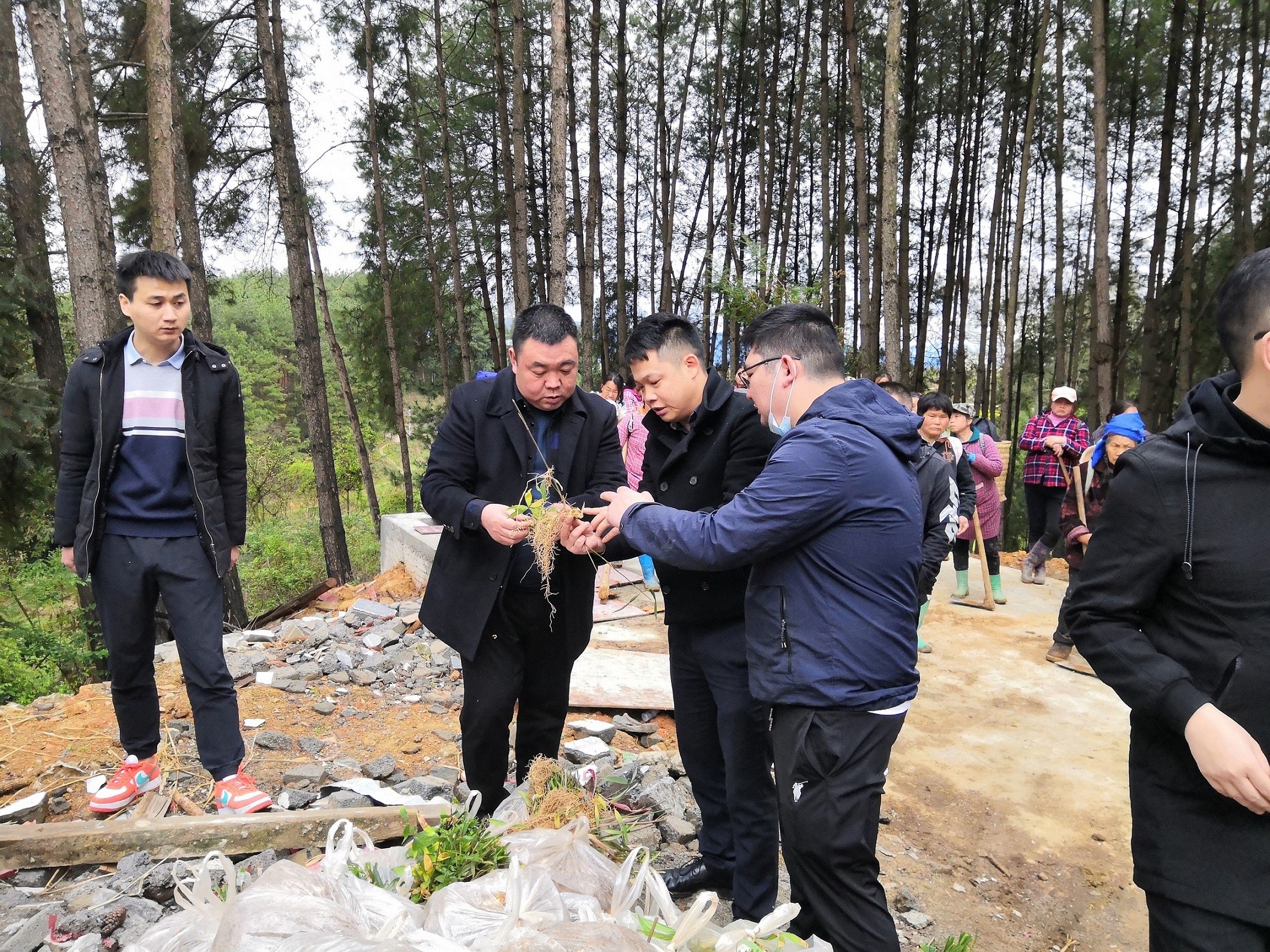 銅仁市城交集團九龍地礦公司總經理王剛一行前往石阡縣國家儲備林項目（五期）檢查工作